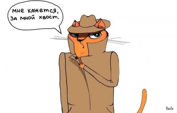 Шпион прикол