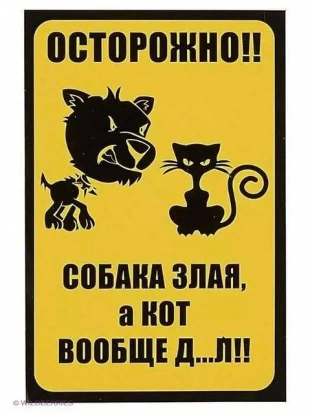 Осторожно злая слабака