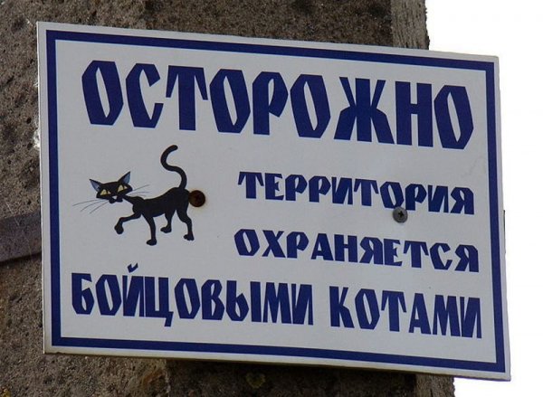 Прикольные таблички на дверь комнаты