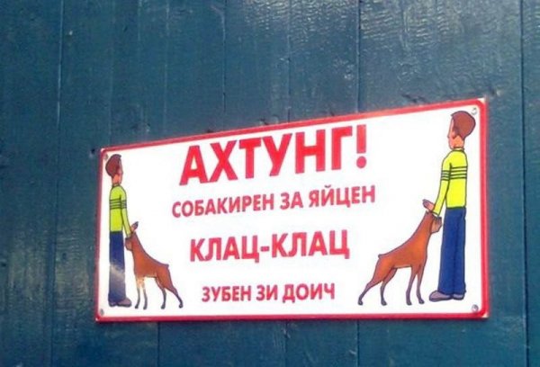 Злая Свинка