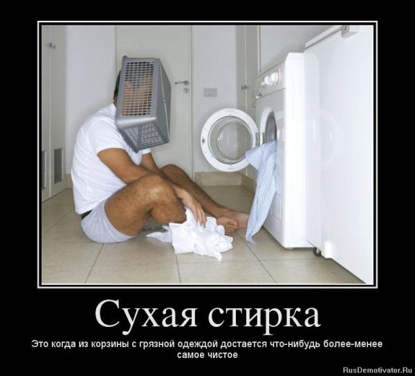 Кот в стиральной машине