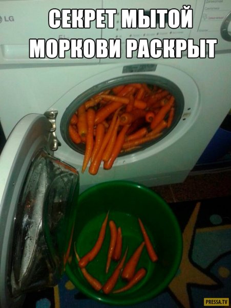 Кошка в стиракеульной маш