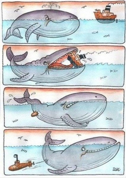 Кит карикатура