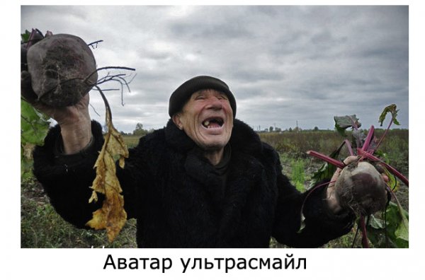 Смешная свекла