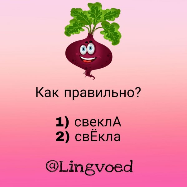 Свёкла или свекла