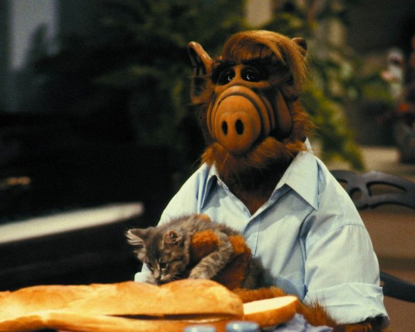 Alf (Альф), 1986–1990