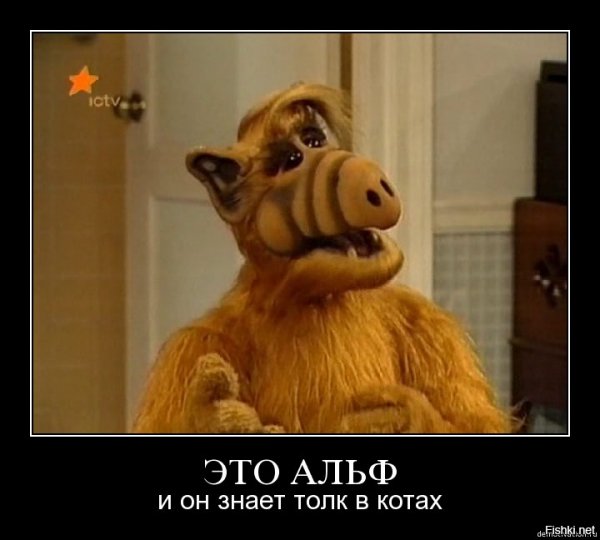 Альф сериал мемы