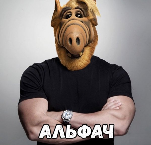 Альф мемы