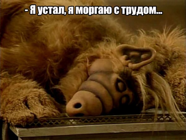 Альф высказывания