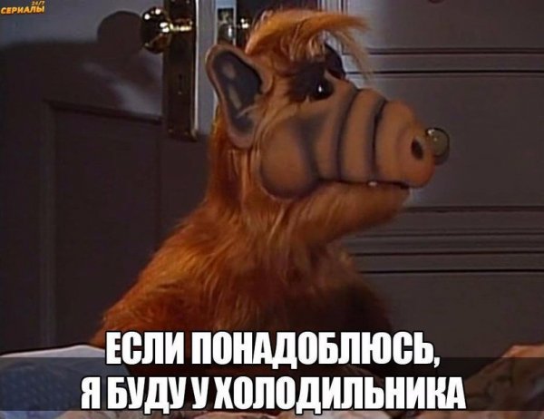 Цитаты Альфа из сериала Альф