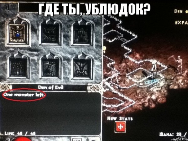Diablo 2 memes
