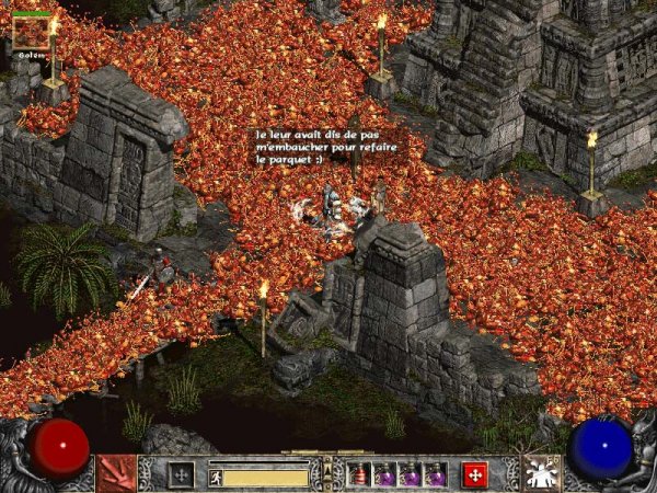 Diablo II приколы