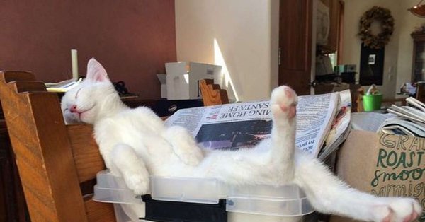 Расслабление после тяжелого дня