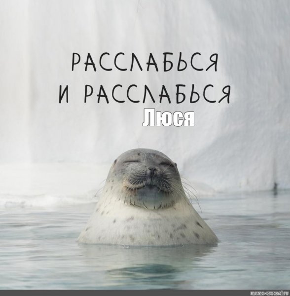 Кот с огурцами на глазах