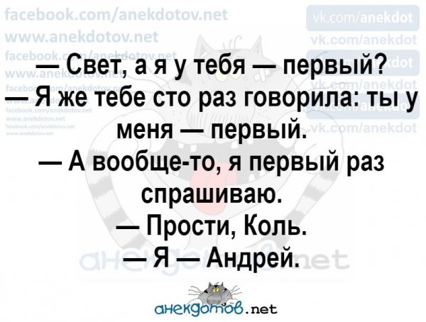 Анекдоты про свету