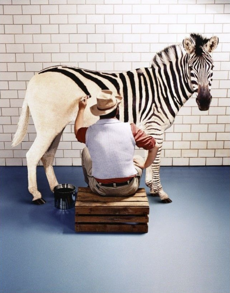 Креативный юмор в картинках