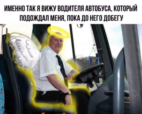 Смешной водитель автобуса