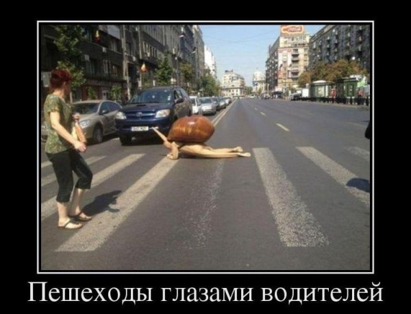 Пешеходы глазами водителей