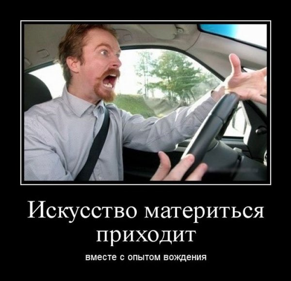 Автошкола смешное