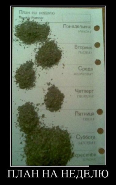 План на неделю