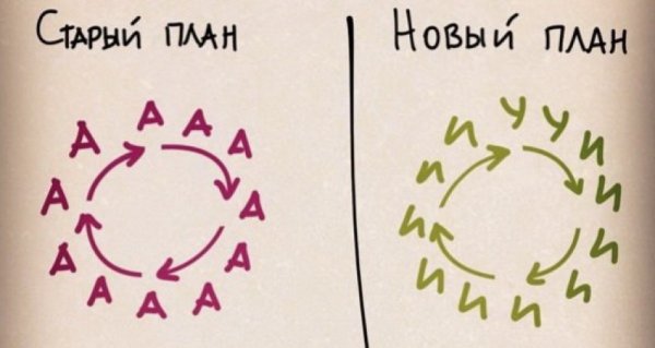 Записки мужа врача
