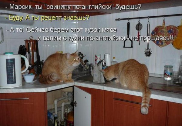 Анекдоты про кухню