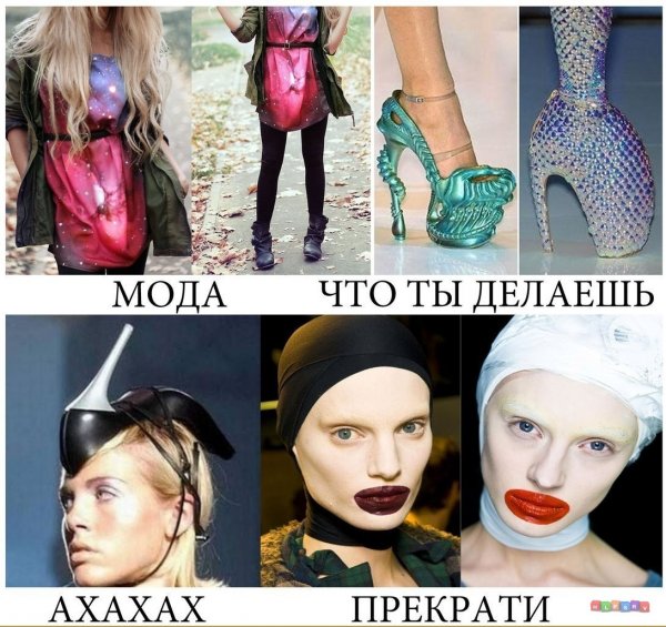 Высокая мода приколы