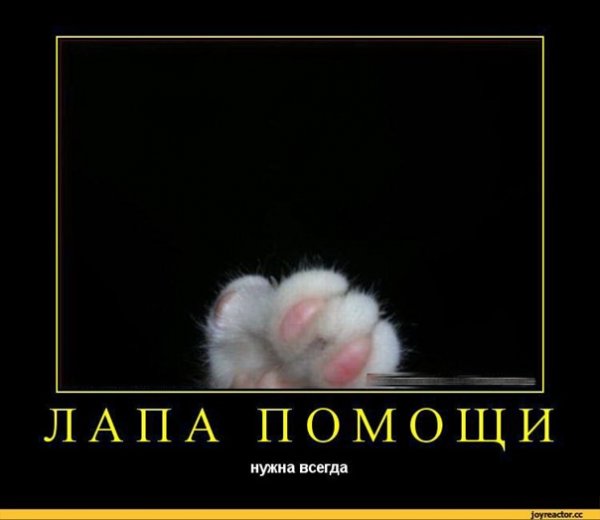 Смешные слова поддержки