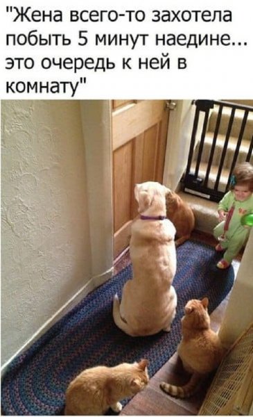 Мама отдыхает прикол