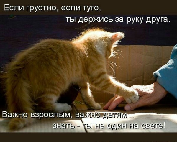 Открытка держись