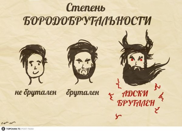 Шутки про бороду