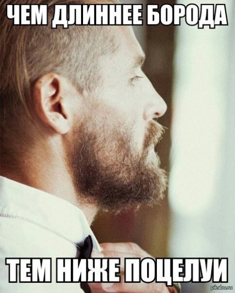 Цитаты про бороду