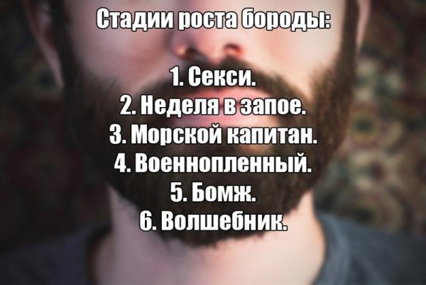 Степени роста бороды прикол