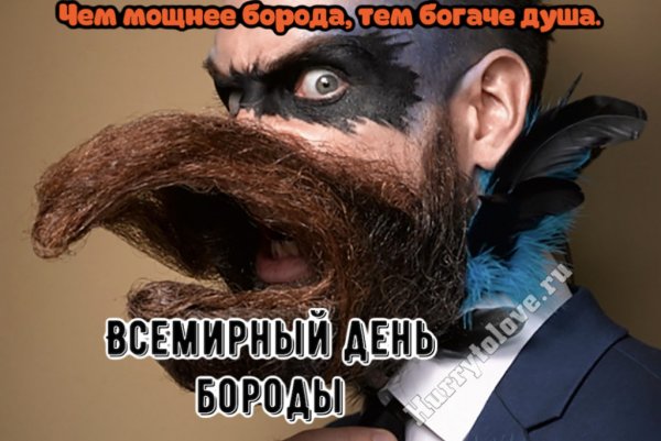День бороды картинки прикольные