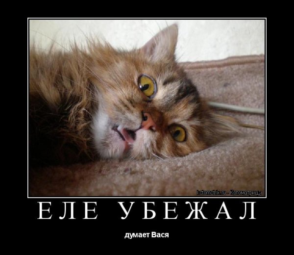 Я В шоке прикол
