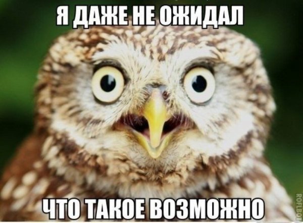 Я В шоке картинки