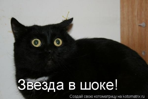 Я В шоке картинки