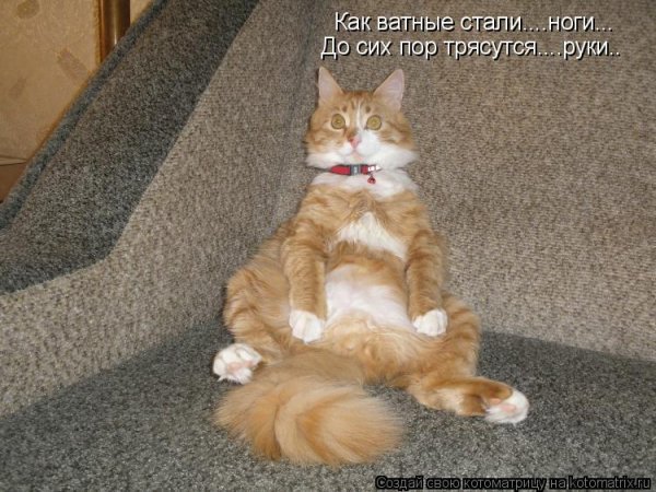 Я В шоке картинки