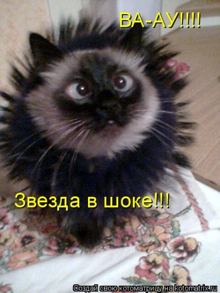 Звезда в шоке Мем
