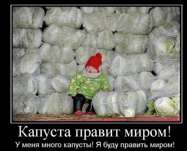 Капуста юмор