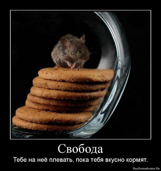 Свобода юмор