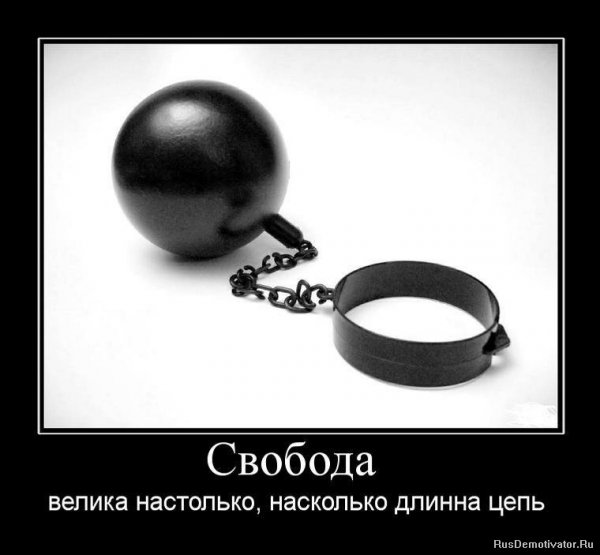 Свобода демотиваторы