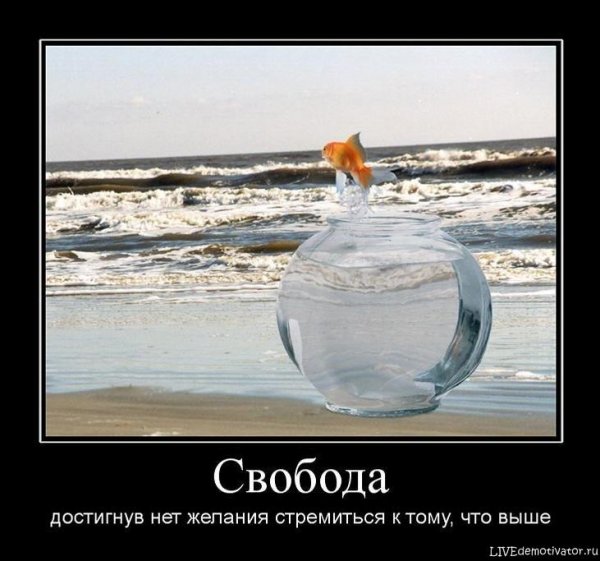 Юмор про желания и возможности