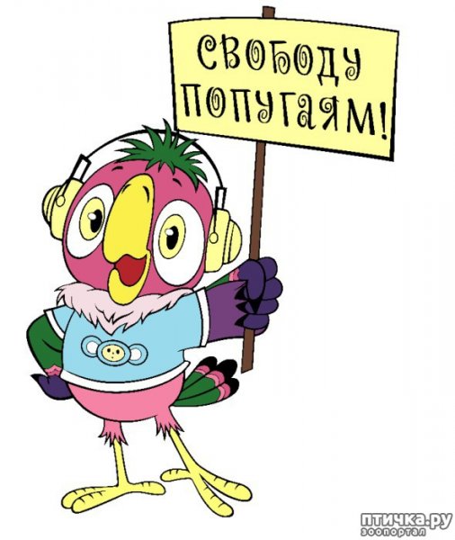 Попугай Кеша свободу попугаям