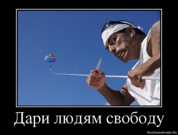 Свобода демотиваторы