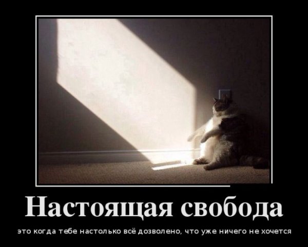 Свобода демотиваторы