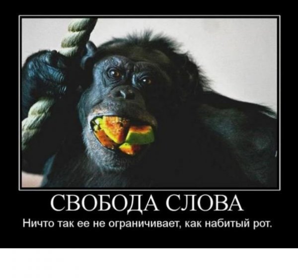 Свобода слова демотиватор