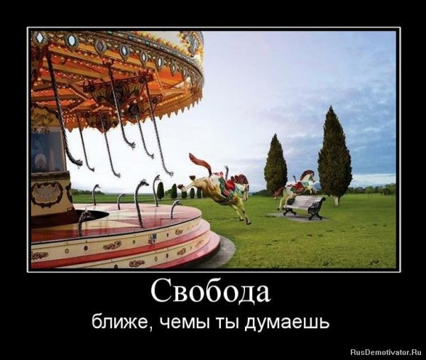 Свобода прикол