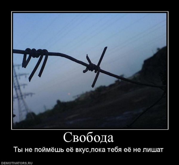 Поздравление со свободой