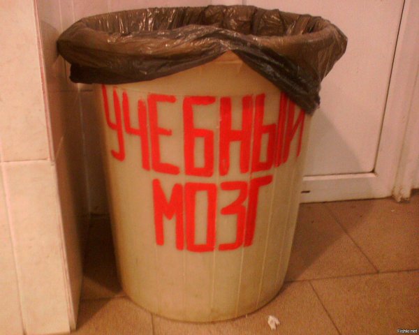 Прикольное ведро